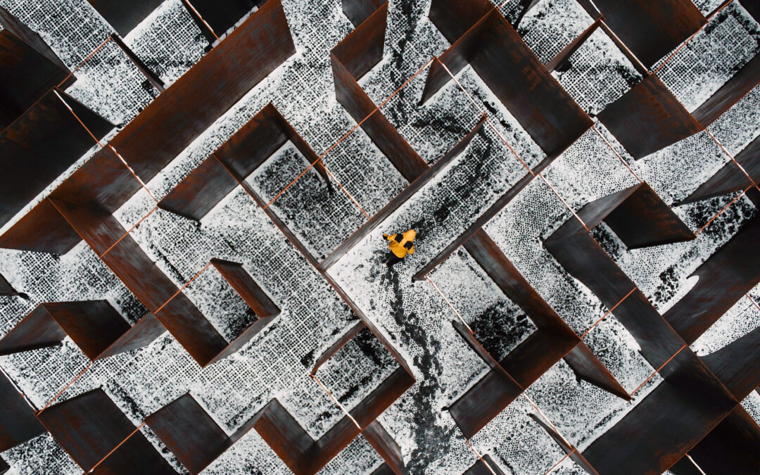 Navigating the Labyrinth: Young Men in Today’s Society